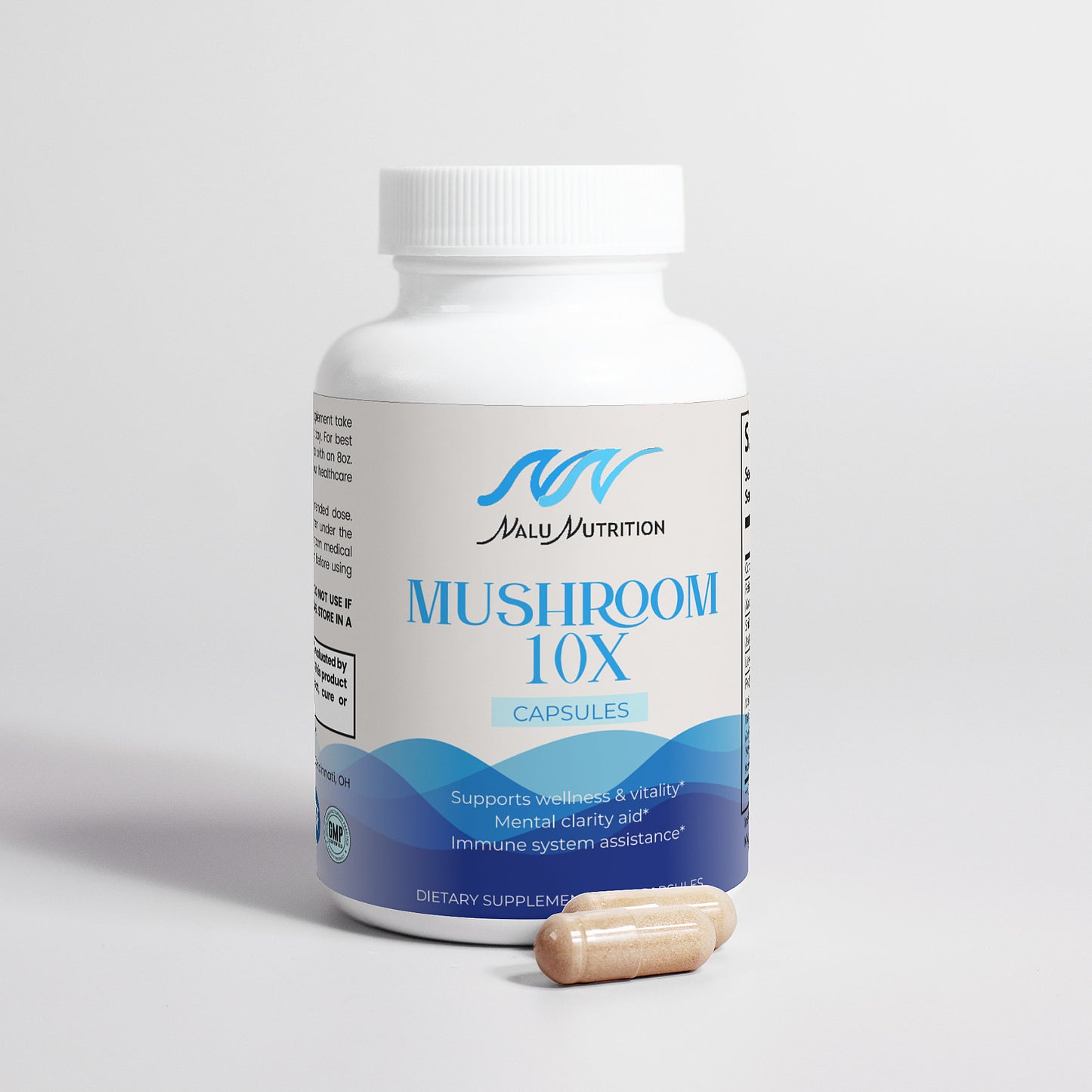 Mushroom 10X